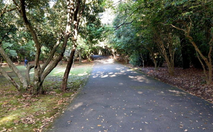 shiminnomori-park17-min