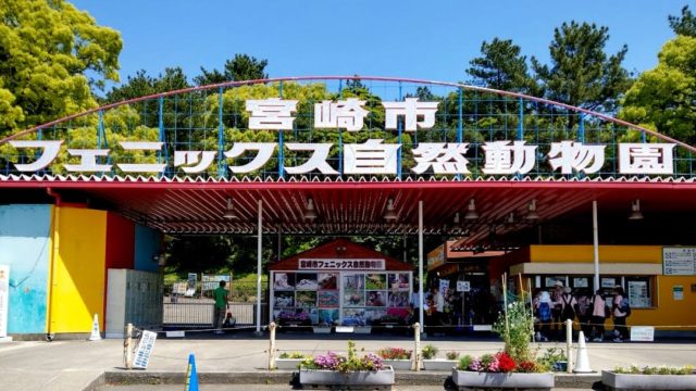 宮崎市フェニックス自然動物園は子供も大人も楽しい 見どころや料金は 宮崎県の観光や地域情報などを探すならハッピーlife よこらぼ